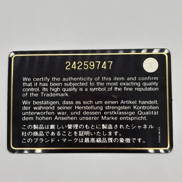 Chanel Blue Mini Python Coco Handle Bag - Picture 11 of 16